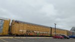 BTTX 880172